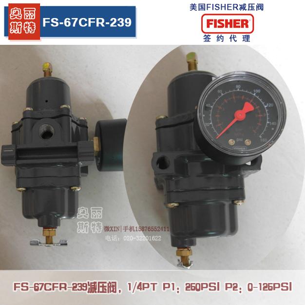 FS67CFR-239過濾器調壓器帶表