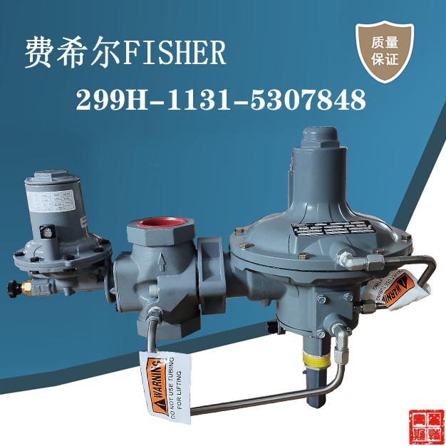 fisher費希爾299HV-PHJ/HV5新編碼299H-1131-5307848